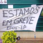 greve 11