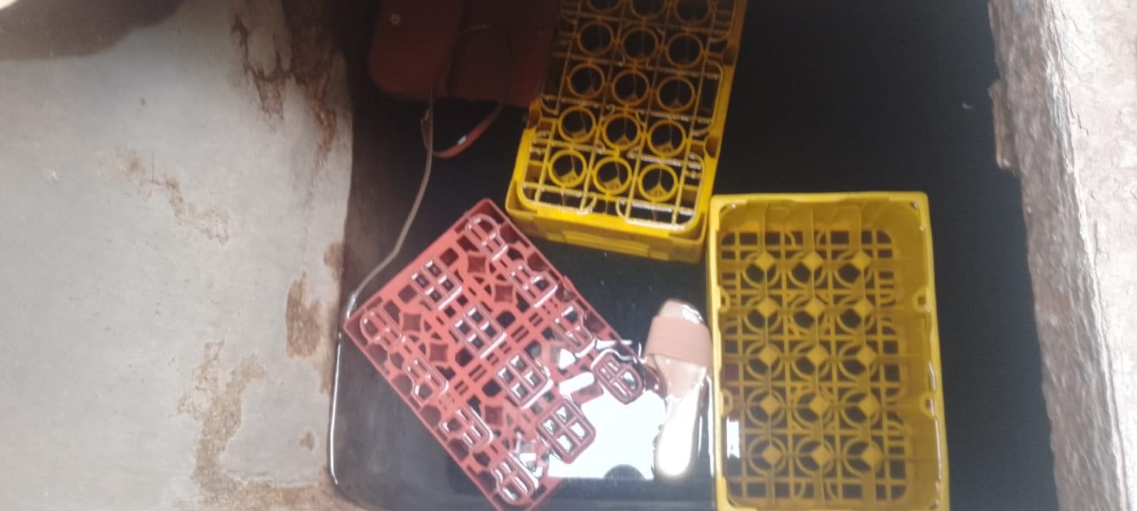tanqui 11