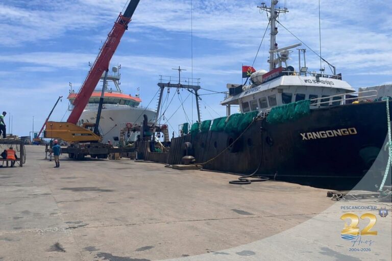 barco 1